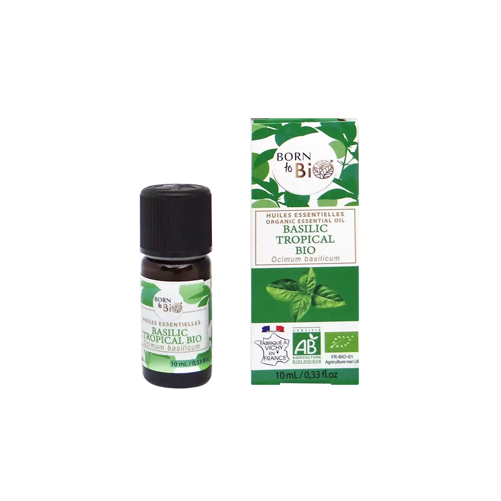 Organic tropical basil essential oil-0