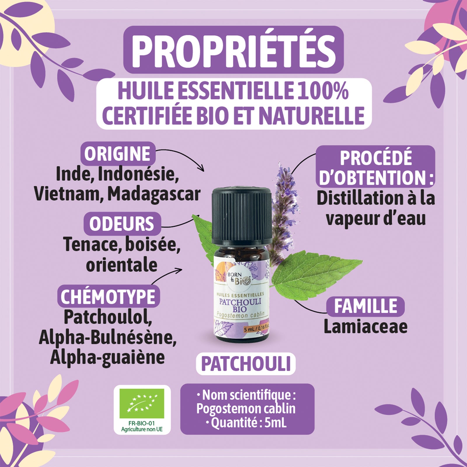 Organic Patchouli essential oil-1