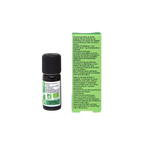 Organic tropical basil essential oil-1