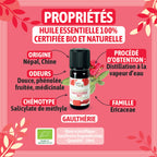 Organic wintergreen essential oil-1