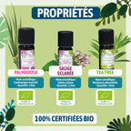 Pure face theme box-2